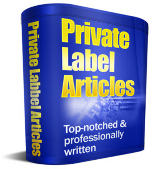 Product picture 7 Blog Advertising Articles (PLR)
